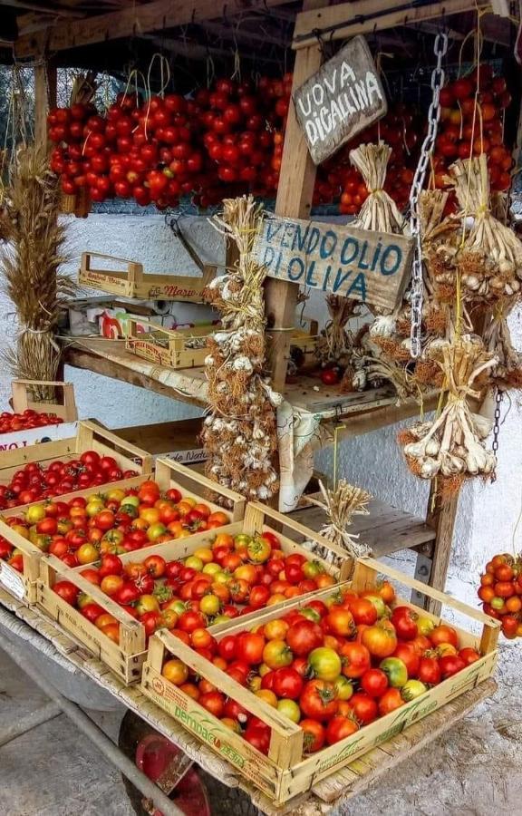 B&B La Strea Porto Cesareo Εξωτερικό φωτογραφία