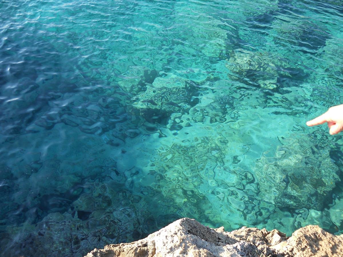B&B La Strea Porto Cesareo Εξωτερικό φωτογραφία